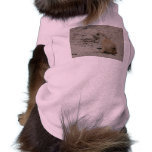 baby prairie dog pet clothing