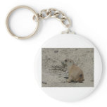 baby prairie dog key chain