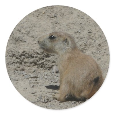 baby prairie dog stickers by pinkypetals