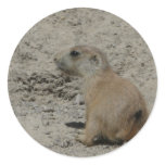 baby prairie dog stickers