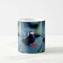 Baby Puffin Coffee Mug