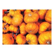 Baby Pumpkins Custom Announcements