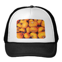 Baby Pumpkins Mesh Hats