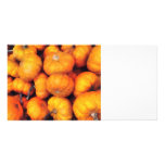 Baby Pumpkins Custom Photo Card