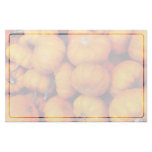 Baby Pumpkins Customized Stationery
