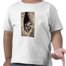 Baby raccoons in tree cavity Procyon Shirts