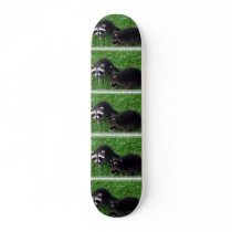 Baby Raccoons  Skateboard