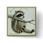 Baby Racoon & Texas Mesquite Tree