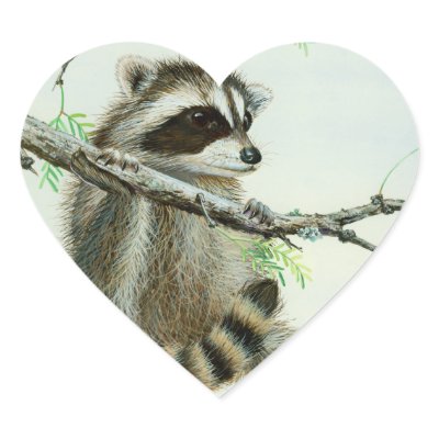 Baby Racoon & Texas Mesquite Tree by greerdesign