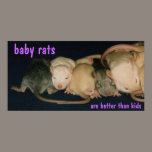 baby rats poster posters