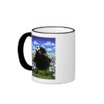 Baby raven and daisies coffee mug