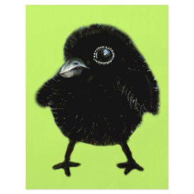 Baby raven full color flyer by tanyabond