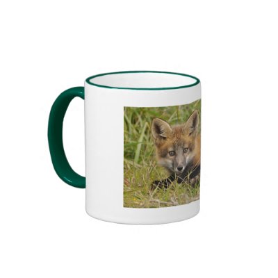 Baby Red Fox Mug by OrcaWatcher