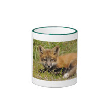 Baby Red Fox Mug