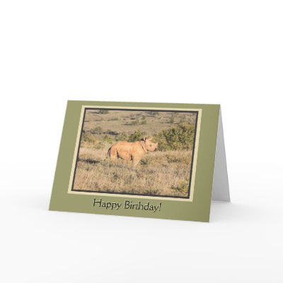 Baby Rhino Happy Birthday Greeting Cards by TreadSoftly