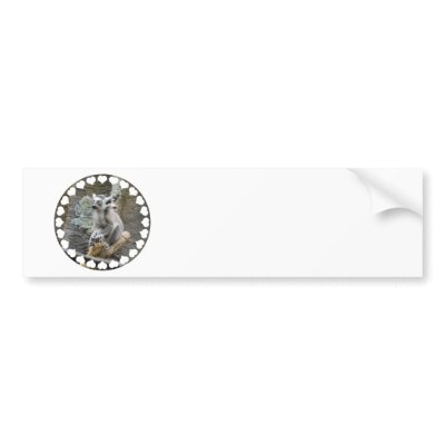 Baby Ringtailed Lemur  Bumper Sticker by WildlifeAnimals
