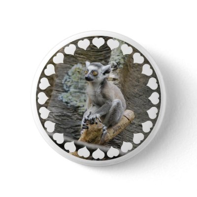 Baby Ringtailed Lemur  Button by WildlifeAnimals