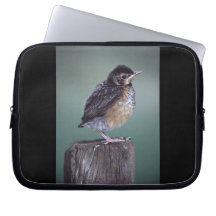 baby robin laptop computer sleeves