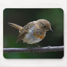 Baby Robin Mouspad Mouse Mats