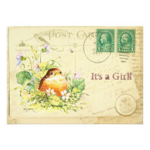 Baby Robin with Violets Girl Shower Personalized Announcement