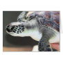 Baby Sea Turtle Blank Card