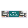 Baby Sea Turtle Bumper Sticker