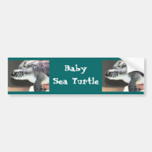 Baby Sea Turtle Bumper Sticker