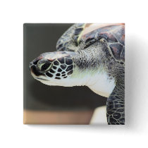 Baby Sea Turtle Button