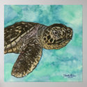 baby sea turtle coastal decor cute print art