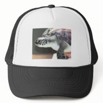 Baby Sea Turtle Hat