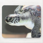 Baby Sea Turtle Mousepad