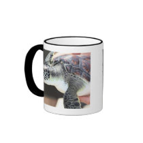 Baby Sea Turtle Mug