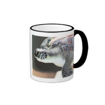 Baby Sea Turtle Mug