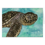 baby sea turtle sealife painting card