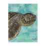 baby sea turtle sealife painting postcard