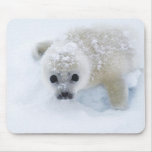 Baby Seal Mouse Mats