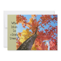 Baby Shower Invitations Baby Boy Climb Fall Trees