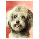 baby silver French poodle t-shirts