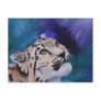 Baby Snow Leopard Postcard