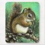 Baby squirrel and cones mouse pad