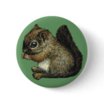 baby-squirrel badge button
