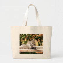 Baby Squirrel Bags
