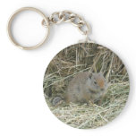 baby squirrel keychain