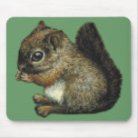 baby-squirrel mouse pad