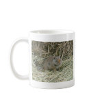baby squirrel mug