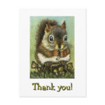 Baby squirrel post cards