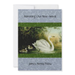 Baby Swans Baby Shower invitation