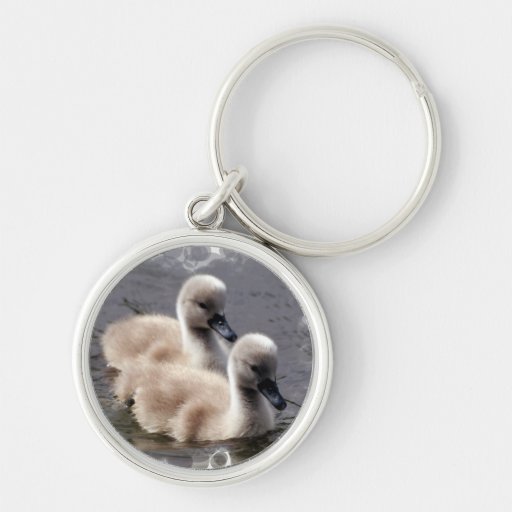 Baby Swans Keychain