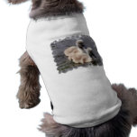 Baby Swans Pet Shirt