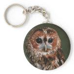 Baby Tawny Owl Key Chains